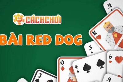 Cách chơi Red Dog W88 cho người mới bắt đầu chi tiết nhất