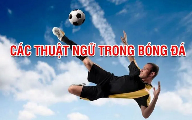 Cac Thuat Ngu Ca Do Bong Da Tren Bang Keo Nha Cai