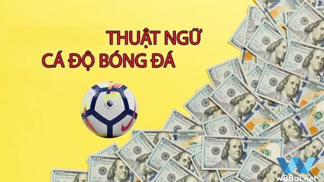 các thuật ngữ cá độ bóng đá