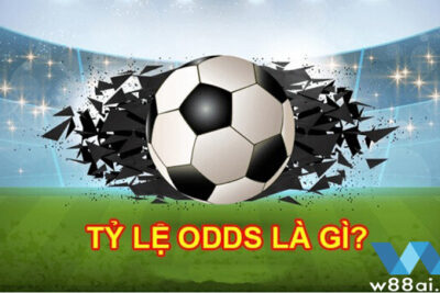 Tỷ lệ Odds và Các loại Odds phổ biến trên bảng kèo nhà cái