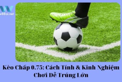 Kèo Chấp 0.75: Cách Tính & Kinh Nghiệm Chơi Dễ Trúng Lớn