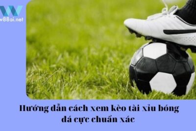 Hướng dẫn cách xem kèo Tài xỉu bóng đá cực chuẩn xác